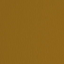 BLISTER 10FG CARTONCINO 70X100 220GR MARRONE 106 FABRIANO ELLE ERRE