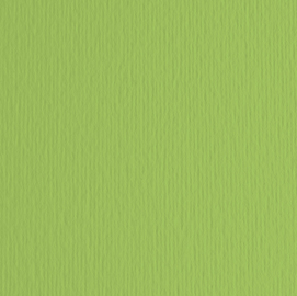 BLISTER 10FG CARTONCINO 70X100 220GR VERDE PISELLO 110 FABRIANO ELLE ERRE