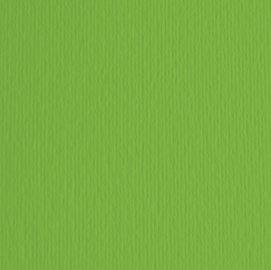 BLISTER 10FG CARTONCINO 70X100 220GR VERDE 111 FABRIANO ELLE ERRE