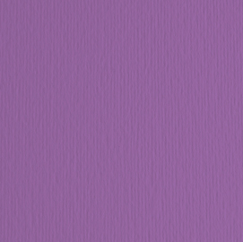 BLISTER 10FG CARTONCINO 70X100 220GR VIOLA 104 FABRIANO ELLE ERRE