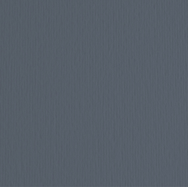 BLISTER 10FG CARTONCINO 70X100 220GR FERRO 122 FABRIANO ELLE ERRE