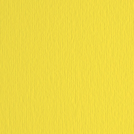 BLISTER 20FG CARTONCINO 50X70 220GR CEDRO 25 FABRIANO ELLE ERRE