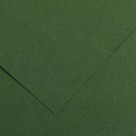 Foglio COLORLINE 70x100 cm 220 gr. 31 Verde abete