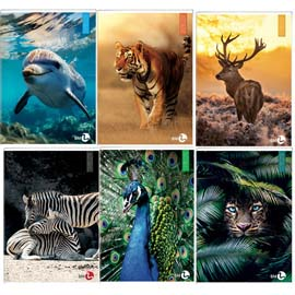 Maxiquaderno A4 40fg+2 80gr 5mm Animal 2023 BM